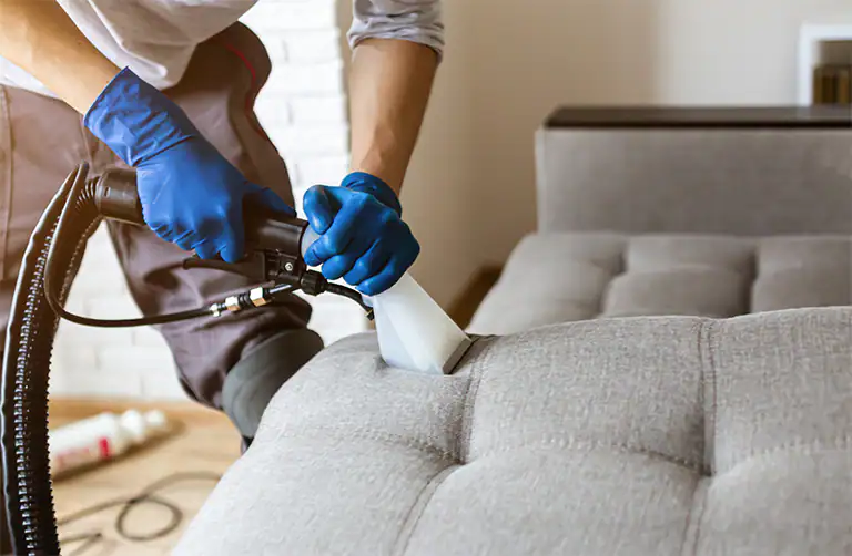 Stain Removal Techniques