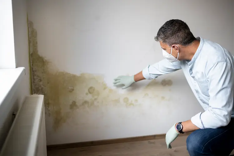 Controls Mold Growth