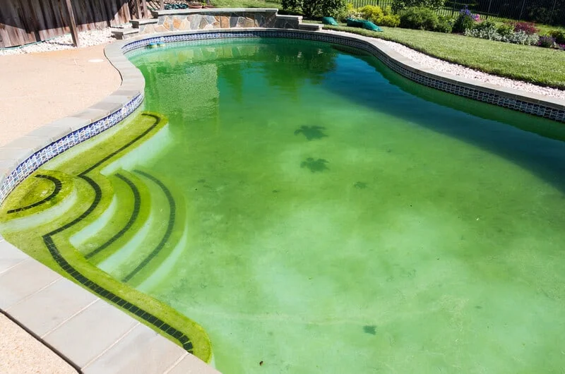 pool contamination