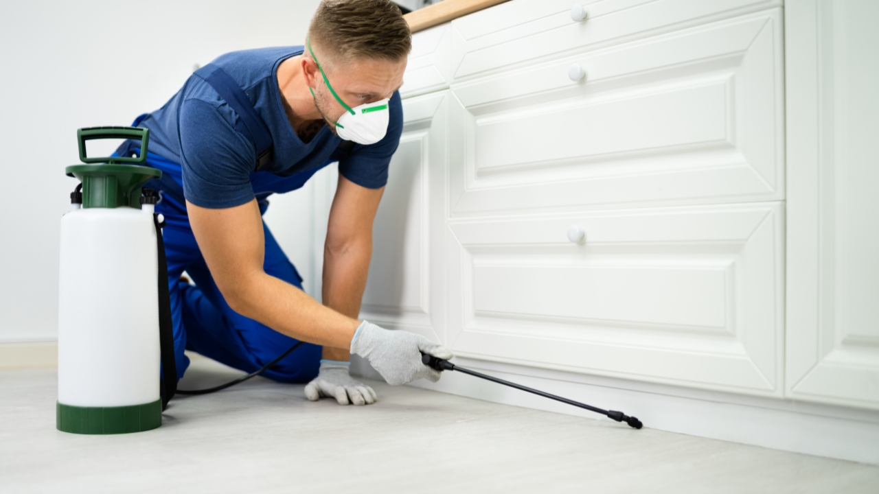 Pest Control and Prevention